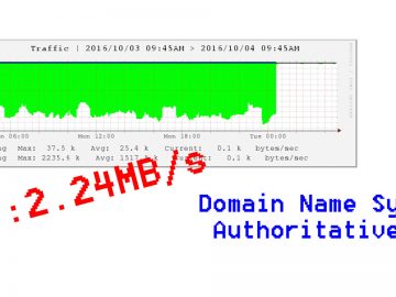 Domain Name System Authoritative NS