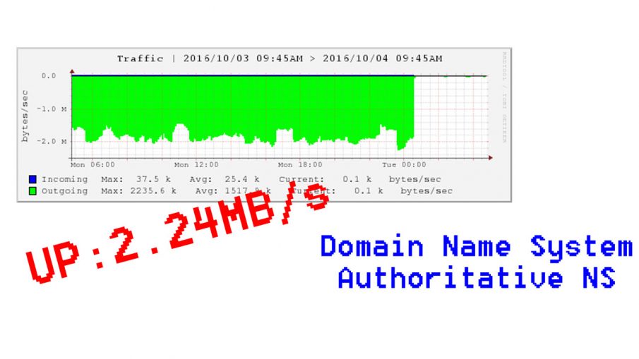 Domain Name System Authoritative NS